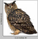 Eurasian Eagle-owl Left Side Wall Decal