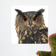 Eurasian Eagle-owl Face Close-up Wall Decal