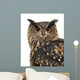 Eurasian Eagle-owl Turning Head Left Wall Decal