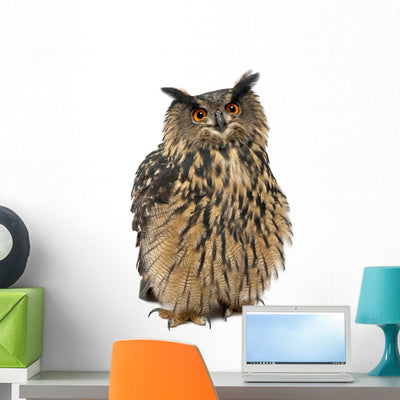 Eurasian Eagle-owl Bubo Bubo Wall Decal shown on a wall