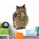 Eurasian Eagle-Owl, Bubo bubo, 15 years old Wall Decal