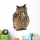 Eurasian Eagle-Owl, Bubo bubo, 15 years old Wall Decal