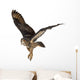 Eurasian Eagle-owl Taking Off Wall Decal