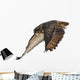 Eurasian Eagle-owl Wings Down Wall Decal