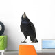 Rook Corvus Frugilegus 3 Wall Decal