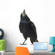 Rook Corvus Frugilegus 3 Wall Decal