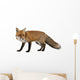 Red Fox Wall Decal