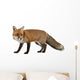Red Fox Wall Decal