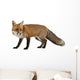 Red Fox Wall Decal