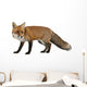 Red Fox Wall Decal