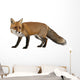 Red Fox Wall Decal