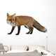 Red Fox Wall Decal