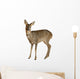 European Roe Deer Wall Decal
