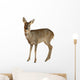 European Roe Deer Wall Decal