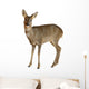 European Roe Deer Wall Decal