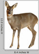 European Roe Deer Wall Decal