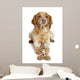 Brown Speckled Dog Lying Wall Decal