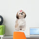 Shih Tzu Sitting against Wall Decal