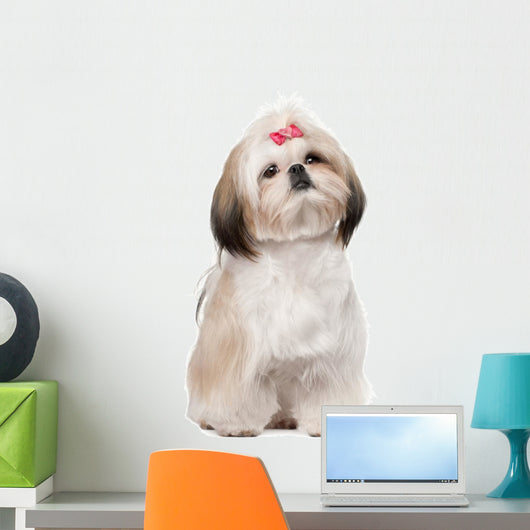Shih Tzu Sitting against Wall Decal