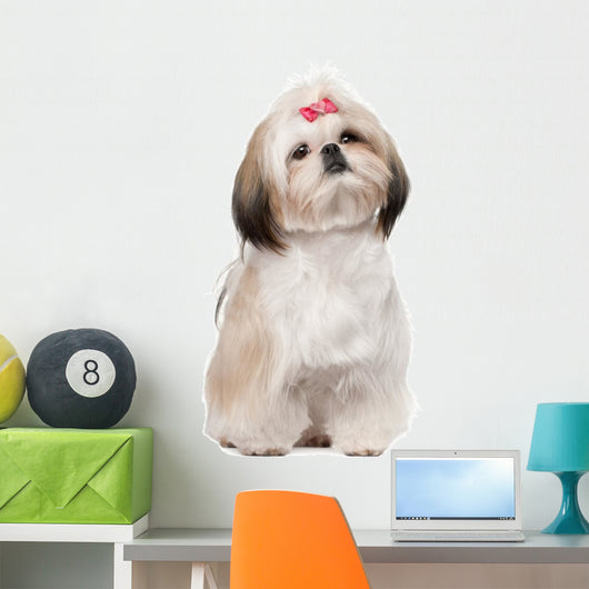 Shih Tzu Sitting against Wall Decal