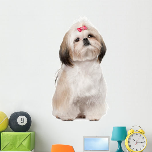 Shih Tzu Sitting against Wall Decal