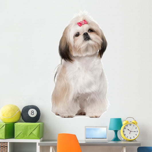 Shih Tzu Sitting against Wall Decal
