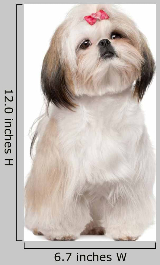 Shih Tzu Sitting against Wall Decal