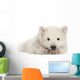 Polar Bear Cub Resting on Front Paws Wall Decal