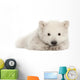 Polar Bear Cub Resting on Front Paws Wall Decal