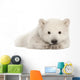 Polar Bear Cub Resting on Front Paws Wall Decal