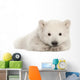 Polar Bear Cub Resting on Front Paws Wall Decal