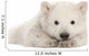 Polar Bear Cub Resting on Front Paws Wall Decal