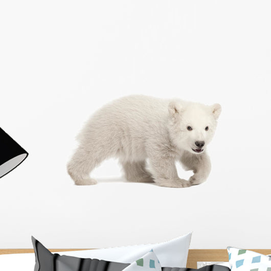 Hunched Polar Bear Cub Wall Decal