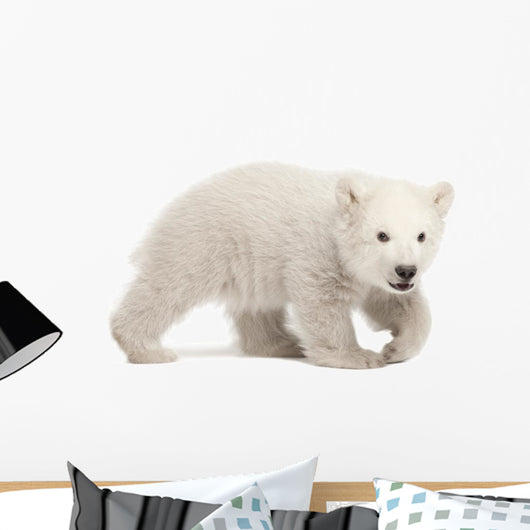 Hunched Polar Bear Cub Wall Decal