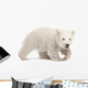Hunched Polar Bear Cub Wall Decal