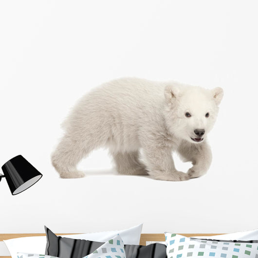 Hunched Polar Bear Cub Wall Decal