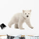 Trundling Polar Bear Cub Wall Decal