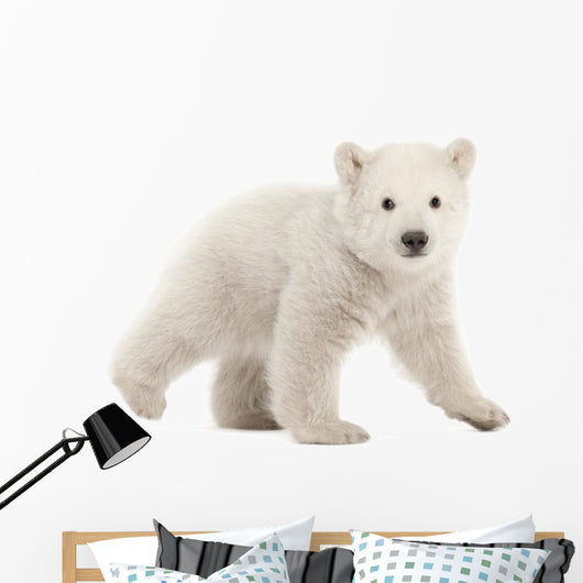 Trundling Polar Bear Cub Wall Decal