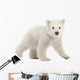 Trundling Polar Bear Cub Wall Decal