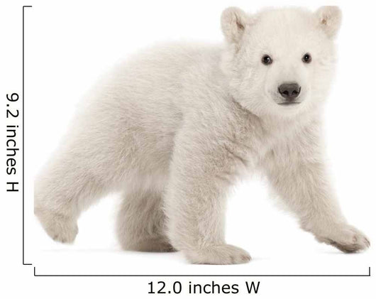 Trundling Polar Bear Cub Wall Decal