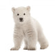 Polar bear cub, Ursus maritimus, 3 months old Wall Decal