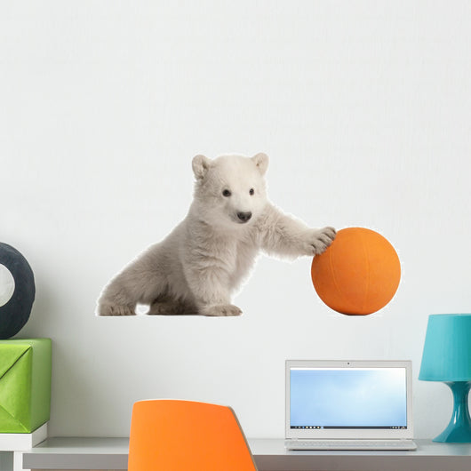 Polar Bear Cub Pushing a Ball Wall Decal