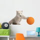 Polar Bear Cub Pushing a Ball Wall Decal