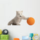 Polar Bear Cub Pushing a Ball Wall Decal