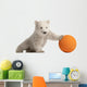 Polar Bear Cub Pushing a Ball Wall Decal