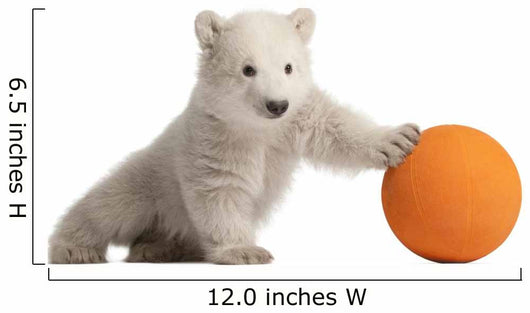 Polar Bear Cub Pushing a Ball Wall Decal