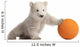 Polar Bear Cub Pushing a Ball Wall Decal