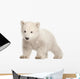Standing Polar Bear Cub Wall Decal