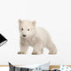 Standing Polar Bear Cub Wall Decal