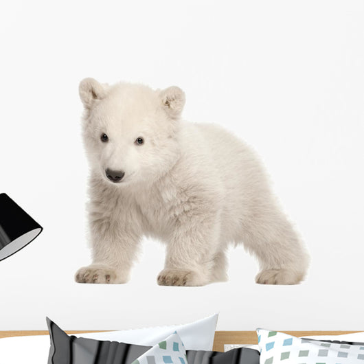 Standing Polar Bear Cub Wall Decal